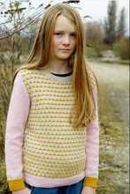 Load image into Gallery viewer, Quinn Sweater LF33 in 8 Ply
